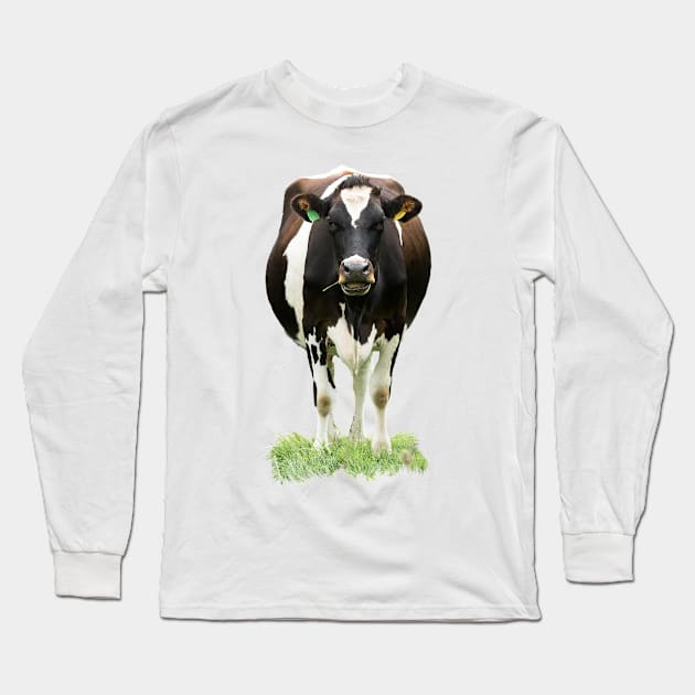 Black and White Cow Long Sleeve T-Shirt by Jane Stanley Photography